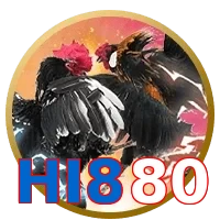 HI880